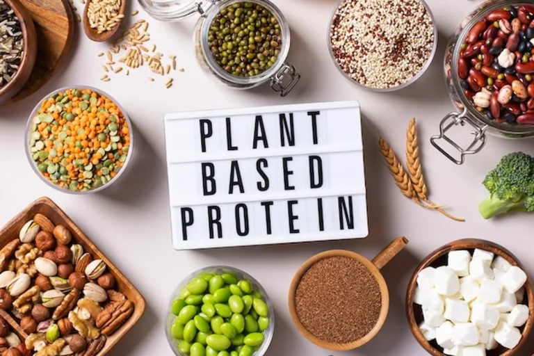 Różnorodność roślinnych źródeł białka z góry