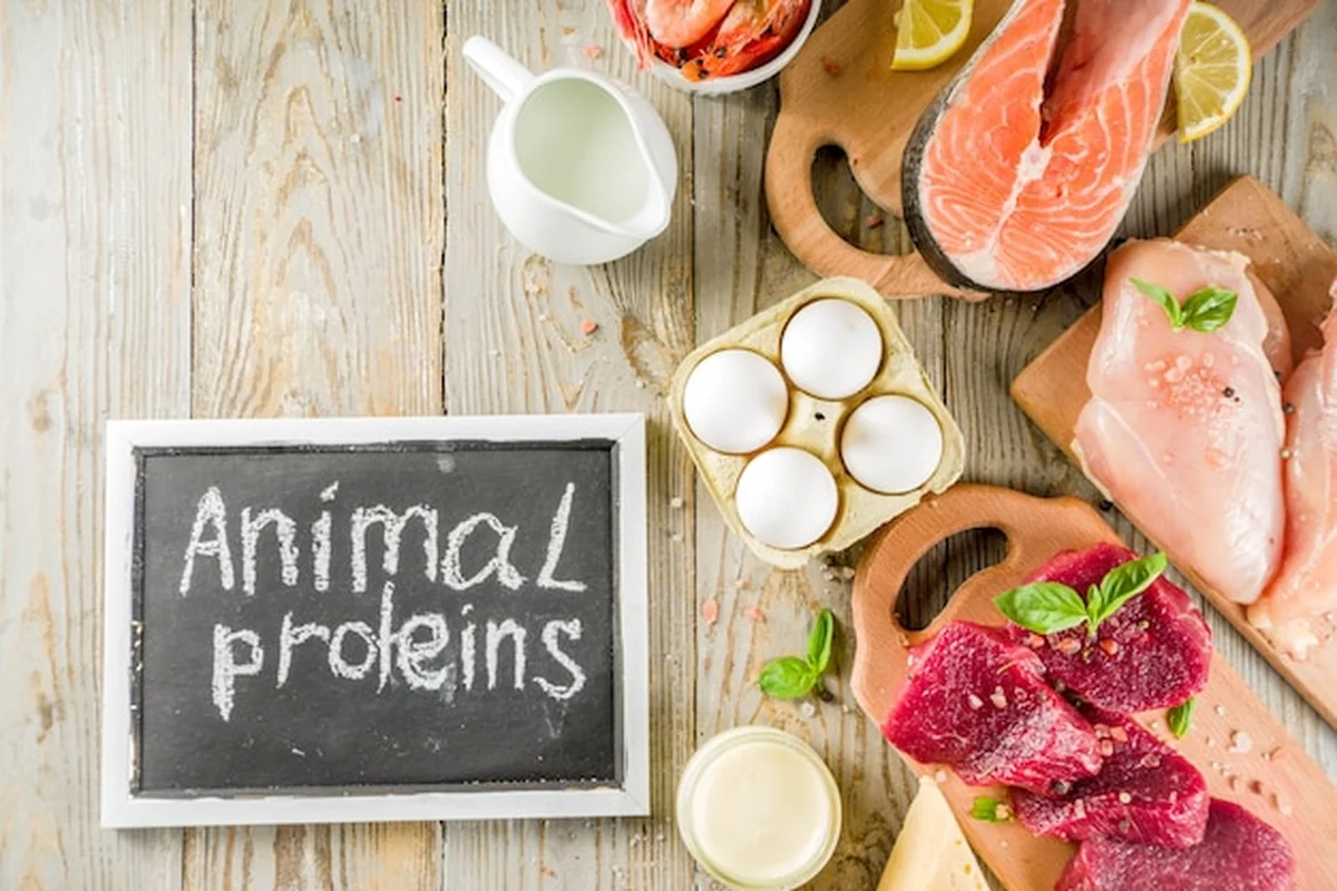 Źródła białka zwierzęcego: mięso, jaja, owoce morza, produkty mleczne